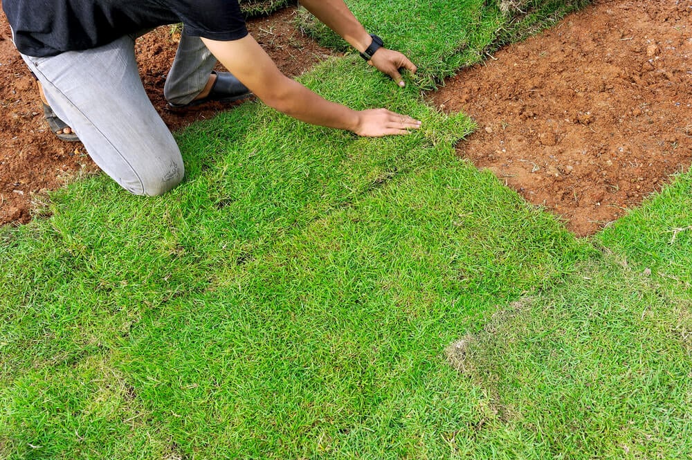 Top 5 Marketing Strategies for Landscape Businesses